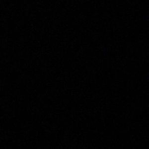 Meet your Posher, Gary